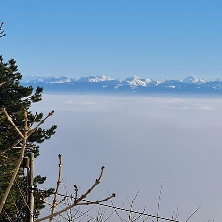 Mont Blanc Chalet Villa Grandevent Eksteriør bilde